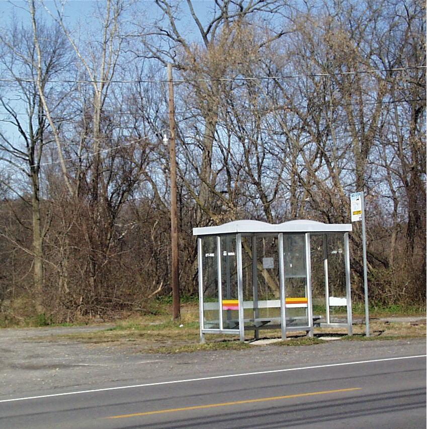 1225299580_busstop401.jpg