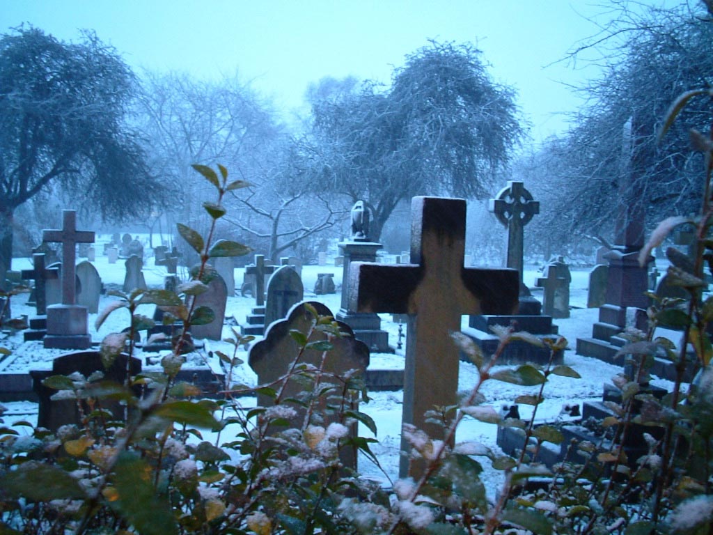 1226583383_cementerio_nevado.jpg